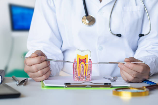 Best Mobile Emergency Dentist in Mishicot, WI